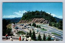 Smoky Mountain National Park, Newfound Gap, Series #GS9, Vintage Postcard picture