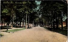 Norwalk OH-Ohio, Benedict Avenue, c1911 Vintage Souvenir Postcard picture