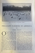 1913 Pheasant Faming in America Wallace Evans Chicago illustrated picture