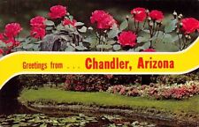 Postcard AZ: Greetings from Chandler, Arizona, Unposted picture