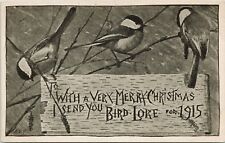 A Very Merry Christmas Bird Lore Birds Xmas Holiday 1915 Antique Postcard E21 picture
