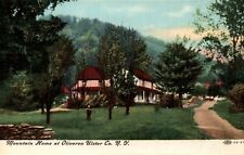 Oliverea New York NY Mountain House Vintage Postcard picture