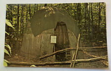 Vintage Postcard ~ Native American Woodland Indian Wigwam ~ Columbus Ohio OH picture