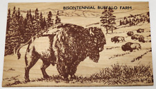 Bisontennial Buffalo Farm Vandercraft Wooden Durable Quality Thick Wood Postcard picture