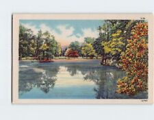 Postcard Lake and Trees Nature Scenery picture