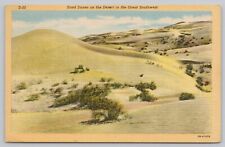Postcard Sand Dunes on the Desert in the Great Southwest c1940s picture