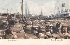 New Orleans, LOUISIANA - Cotton Bales on the Levee - Horse & Wagon - Freighter picture