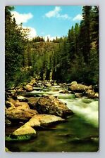 CO-Colorado, Box Canyon, Routt National Forest, Antique, Vintage c1961 Postcard picture
