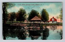 Geneva NY-New York, Foot Bridge White Springs Farm, Antique Vintage Postcard picture