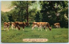 Postcard - Dairy Herd Scene - Arkansas picture