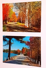 Autumn Postcards Scenic picture