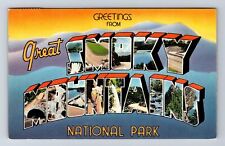 Great Smoky Mountains National Park-LARGE LETTER Greeting Vintage c1955 Postcard picture
