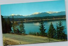 Postcard WA Snow-Capped Olympic Mountains view from Hood canal picture