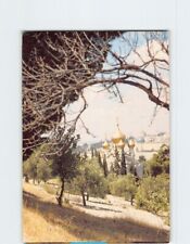 Postcard Garden of Gethsemane Jerusalem Israel picture