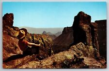 POSTCARD SCENE Big Bend National Park Texas TX chrome Unposted picture