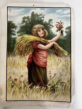 Vintage Seed Advertising Card- 1887 Crosman Brothers Wholesale Rochester NY picture