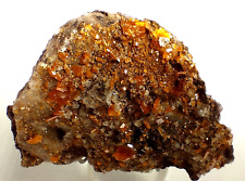 Wulfenite Red Cloud Mine, Mexico WLFRC62 picture
