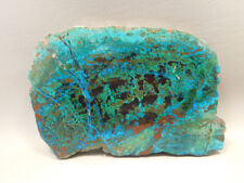 Parrot Wing Chrysocolla Malachite Polished Stone Slab Rock #O2 picture