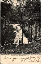 1906. SOUTH ORANGE, NJ. HEMLOCK FALLS. POSTCARD MM3 picture
