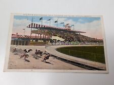 Postcard Dog Race Track Agua Caliente Tijuana Mexico, Antique Posted  picture