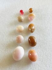 Queen Conch Pearls. Conch Pearls. Natural Queen Conch Pearl. Conch Pearl. picture