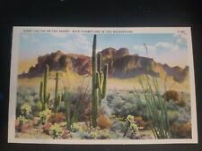 Cactus Postcard Desert, Rock, Tichnor Art Company LA, Unposted picture