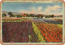 Metal Sign - California Postcard - One of Lompoc's beautiful flower fields, Lom picture