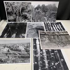 Vintage Landscape Photos Around Utah, Mountains, Trees And Snow Photographs 8x10 picture