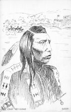 Sioux Chief Red Cloud from 1868 Fetterman Fight Sketch by Sandy Jensen Postcard picture