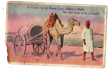 Postcard A Camel can go Seven Days without a Drink, But who wants to be a Camel? picture