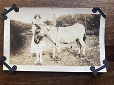 Ashtabula Ohio Young Woman with Donkey Original Antique Vintage Photo picture