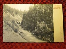 EARLY 1900'S. ILLECILLEWAET RIVER AND C.P.R. POSTCARD L14 picture