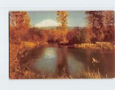 Postcard Mt. Adams Southern Washington USA picture