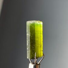 6.50Cts Beautiful Terminated Green cap Tourmaline Crystal From Pakistan picture