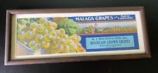 Framed Malaga Mountain Grown Grapes W.J. Wilson & Son Vintage Print Advertising picture