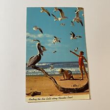 Feeding The Sea Gulls Along Florida’s Coast Postcard Posted 1970  picture