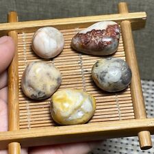 5pcs RARE Crazy Lace SILK Banded Agate Crystal Tumbled Stone mexican 40g b3775 picture