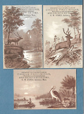 Lot Of 3 Diff c1880s Trade Cards CM Stover Provisions Salisbury Ma Mass picture