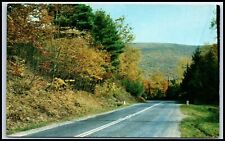 Postcard Catskill Mountain Vacationlands Onteora Trail Pheonicia NY W45 picture