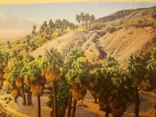 C 1940 Palm Trees Campsites An Oasis on the Edge of the Desert CA Linen Postcard picture