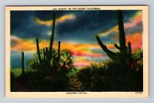 CA-California, Sunset On The Desert, Sahuaro Cactus, Antique, Vintage Postcard picture