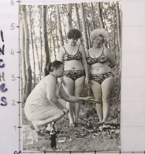 Beautiful Pretty THREE GIRLS WOMEN Hairstyle Bikini Swimwear Vintage Photo #D03 picture