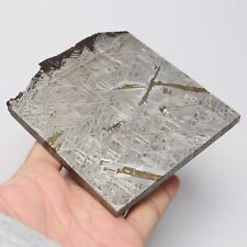 386g  Muonionalusta meteorite part slice C7036 picture