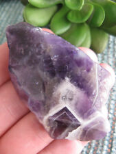 NEW ODD UNUSUAL NATURAL DOG TOOTH AMETHYST CRYSTAL STONE SLAB W/ CAPTIVE SPIRIT picture