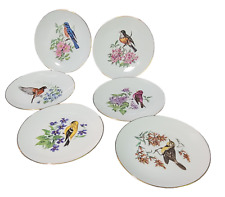 Vintage Six Hand Painted Bareuther Bavaria Germany Porcelain Bird Plates 7.75'' picture