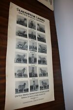 RARE new old stock orig. 1936 Large USDA Lamb slaughter grade poster chart sign picture