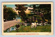 Chillicothe IL, Scenic Greetings, Cows, Road, Car, Illinois Vintage Postcard picture