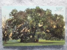Antique Suicide Oak, City Park, New Orleans, Louisiana Postcard picture