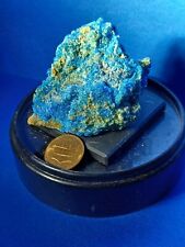 AA Natural RARE Chalcanthite Specimen From Blue Spirit Copper Mine AZ picture