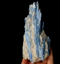 150mm 482g LARGE Blue Kyanite in Quartz,  Natural Mineral Specimen picture